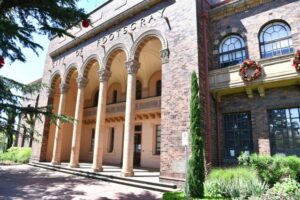 Council calls for local law feedback