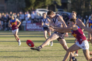 Bulls break Lions, keen to build