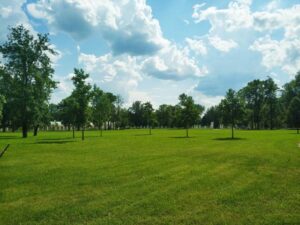 Wyndham picked for park program