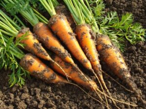 An un-beet-able market