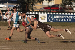 Sharks into granny