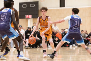 Thoroughbreds continue to keen building