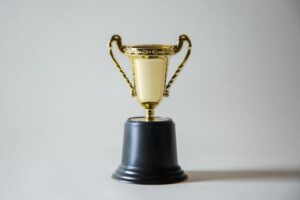 Awards open for excellence by female councillors