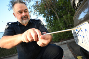 Free numberplate security screws