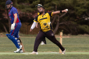 Bees want to continue on