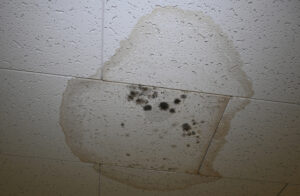 Manorvale in need of repair