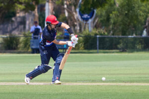 Dogs lose T20 final