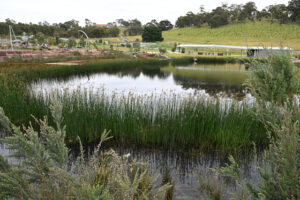 Family fun at park open day