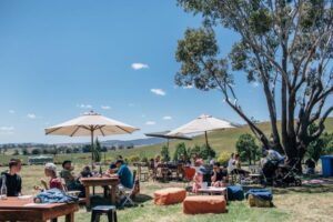 Wine flows summer long