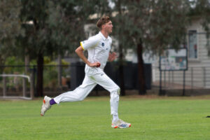 Tigers’ settling in