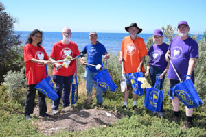 Help clean up Wyndham