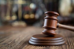 Accused ‘Pam the Bird’ graffitist to face trial