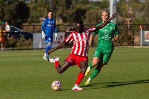 Georgies top flight return