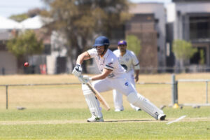 Tigers purring along