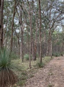 New Landcare group for Kerrie